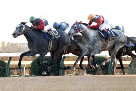 2002 馬|有馬記念｜2002年12月22日